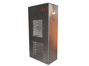 BDKN系列防爆電熱暖風機